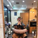 소피아헤어 이미지