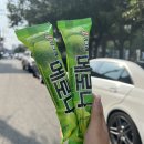 7월 첫째 주 일상 끄적끄적 2편