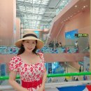 인천 오사카 항공권 비용 + 티웨이 후기 온라인 체크인 필수