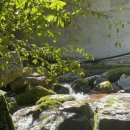 단지골 몽상가 이미지