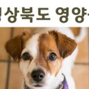 영덕사랑동물병원 이미지