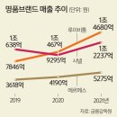 MZ세대 “고교 때 첫 명품 입문”… 점점 더 어려지는 ‘플렉스’ [심층기획-명품에 빠진 대한민국] 이미지