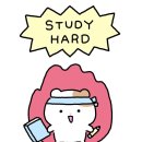 회화화장실 | 홍대영어회화 '브이에이치아카데미' 소규모 영어회화 flow 수업 후기