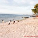 블루스타 이미지