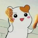 꼬꼬순이초롱꽃점 이미지