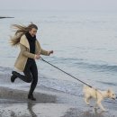 오산동물병원 이미지