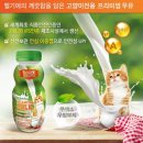 신디즈