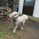 수산리마을회관 이미지