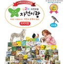 자연이랑자연으로 이미지