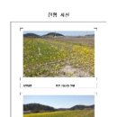 법무사송호룡사무소 이미지