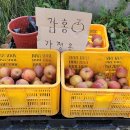 원오농장 이미지