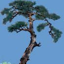 물에서산으로 이미지