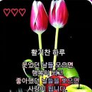 딱지야 이미지