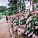 풀꽃시인 나태주와 함께하는 시와 음악이 있는 콘서트 이미지