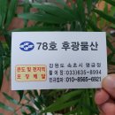 (속초) 동명항 회센터 + 78호