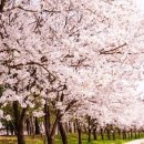 짐아서 휘트니스 이미지