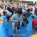 허브힐링관광펜션 이미지