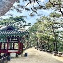 솔밭공원2 이미지