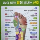 신기시장 사거리 이미지