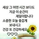 미카엘 대천사의 행복편지 이미지