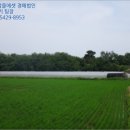 용흥보건진료소 이미지