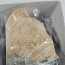 조은식품 | 떡맛집 조은떡집 인절미 쑥떡 택배주문 후기