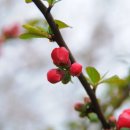 운칠기삼 이미지