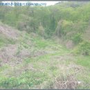 인안2리마을회관 이미지