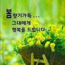 수지상사 이미지