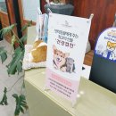 오래오래동물병원 이미지