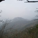 은티농장 Daum카페