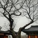 수덕사매점