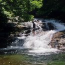 월송슈퍼 이미지