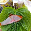 무릉도원수산 이미지