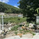 비타민팜 이미지