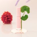 글로우업 코리아 | 💋 겨울철 입술 고민, 이걸로 끝! ICD 인셀덤 글로우 업 립 오일 후기 💄✨