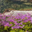 거창-위천-3 이미지