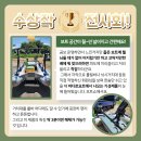 보리카 이미지