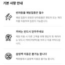 롯데백화점창원점옥상공원 티스토리