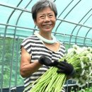 테레사 꽃집