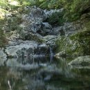 서귀포자연휴양림1 이미지