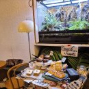 로코페페 | [서대문 카페] 파충류카페 이색카페 '로코페페' 내돈내산 후기