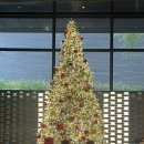 글래드호텔 마포 | [글래드호텔] 글래드 여의도 | 글래드 마포 | 내돈내산후기