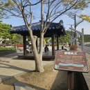 전남 해남 땅끝마을 땅끝 희망공원 #2 이미지