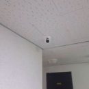 천안성정중학교 이미지