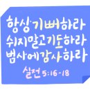 아침에꽃 이미지