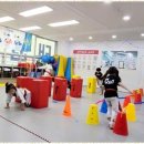 월산태권도 이미지