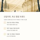 (주)성산렌트카 이미지