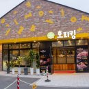 엠제이오 이미지