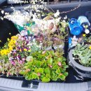 대지농산 이미지